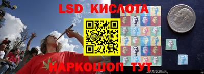 Альфа ПВП Ставрополь