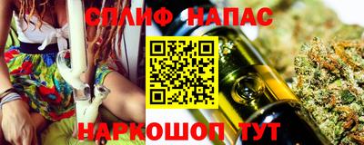 Альфа ПВП Ставрополь