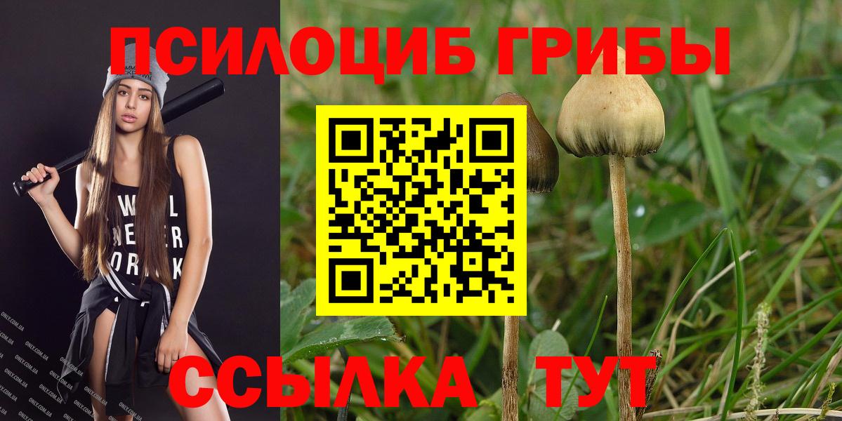 Галлюциногенные грибы мухоморы  Псилоцибиновые грибы Magic Shrooms  Вход с VPN  цены наркотик  Моздок 