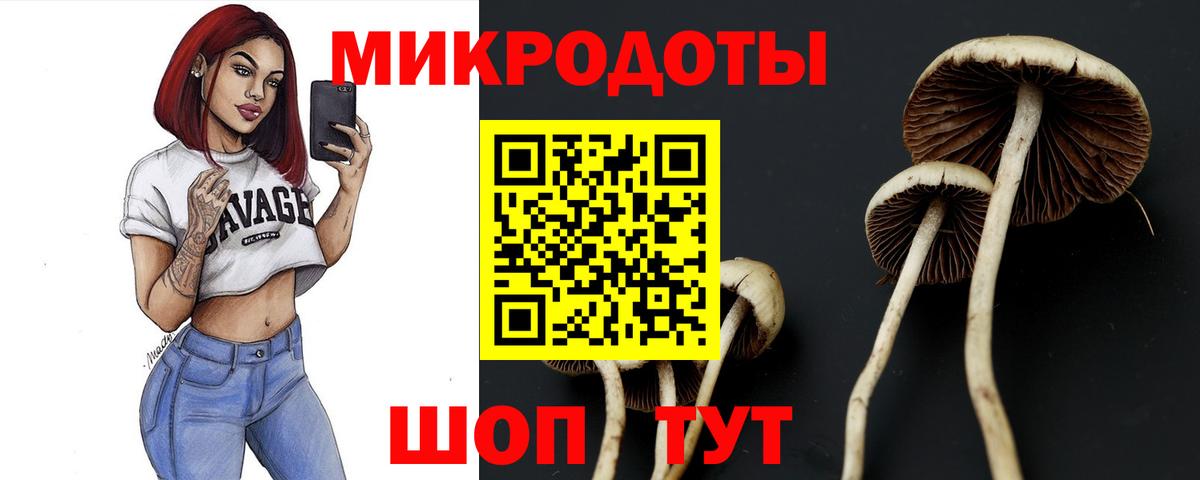Псилоцибиновые грибы мицелий Моздок